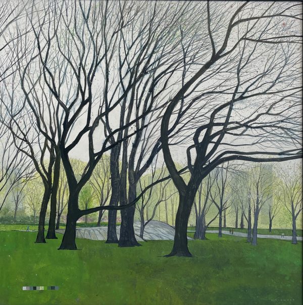 Central Park iii