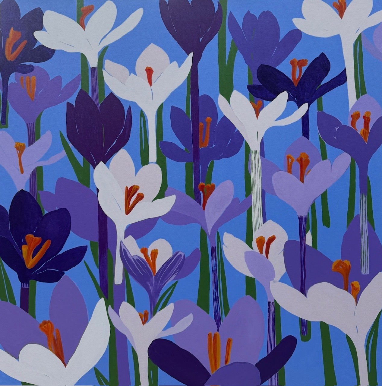 Nick Aston: Crescendo of Crocuses